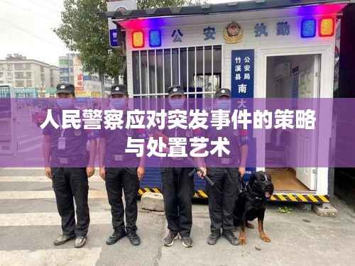 人民警察应对突发事件的策略与处置艺术