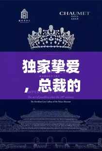 独家挚爱,总裁的挚爱珍宝,情感故事独家呈现