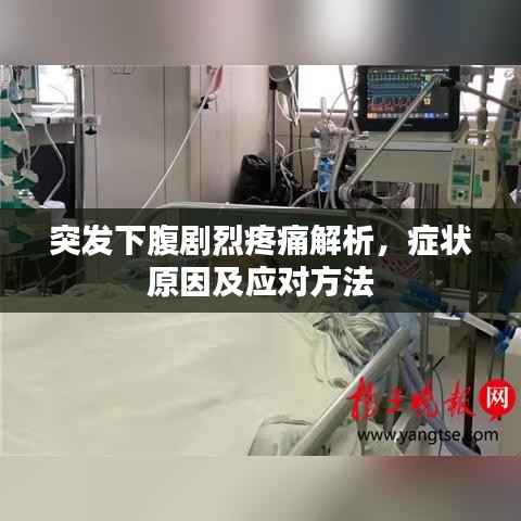 突发下腹剧烈疼痛解析,症状原因及应对方法