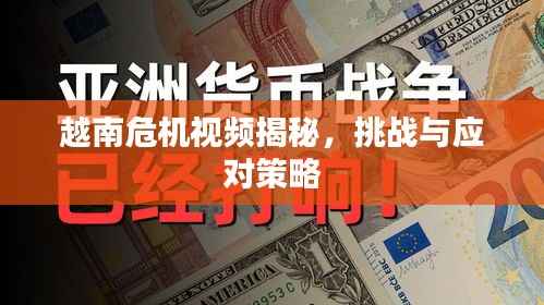 越南危机视频揭秘,挑战与应对策略