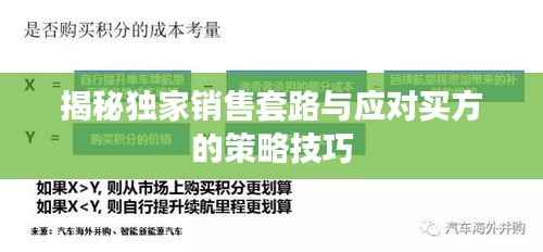 揭秘独家销售套路与应对买方的策略技巧