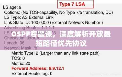 OSPF专题课,深度解析开放最短路径优先协议