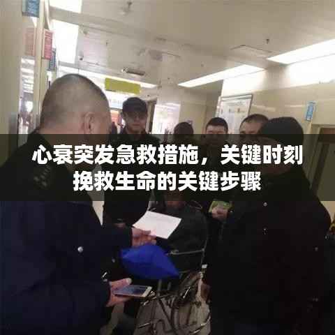 心衰突发急救措施,关键时刻挽救生命的关键步骤