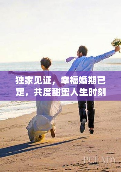 独家见证,幸福婚期已定,共度甜蜜人生时刻