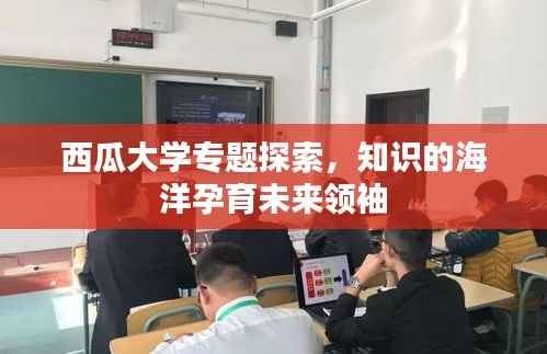 西瓜大学专题探索,知识的海洋孕育未来领袖
