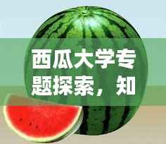 西瓜大学专题探索,知识的海洋孕育未来领袖