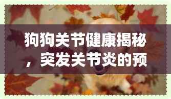 狗狗关节健康揭秘,突发关节炎的预防与解读!