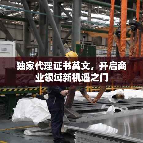 独家代理证书英文,开启商业领域新机遇之门