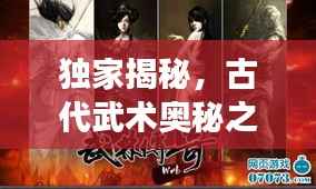 独家揭秘,古代武术奥秘之武功秘籍大全图片展示