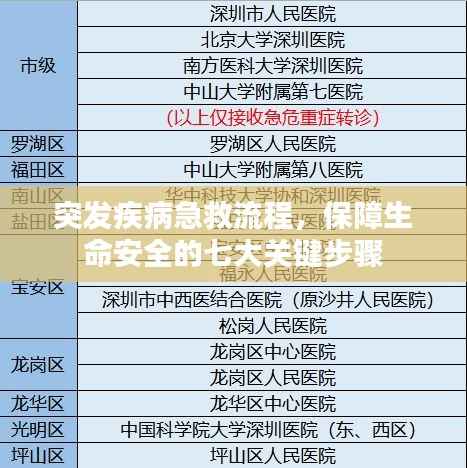 突发疾病急救流程,保障生命安全的七大关键步骤