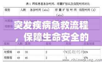 突发疾病急救流程,保障生命安全的七大关键步骤