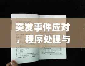 突发事件应对,程序处理与危机应对关键步骤指南