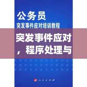 突发事件应对,程序处理与危机应对关键步骤指南