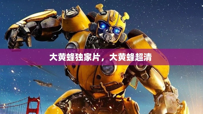 大黄蜂独家片,大黄蜂超清