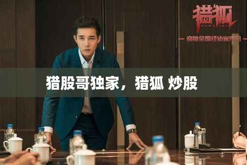 猎股哥独家,猎狐 炒股
