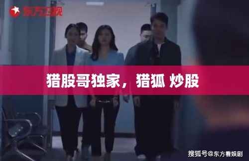 猎股哥独家,猎狐 炒股