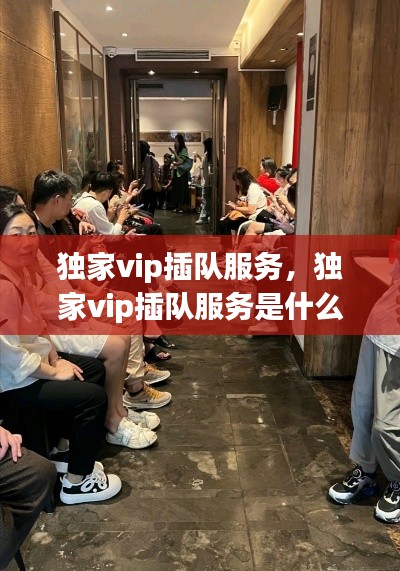 独家vip插队服务,独家vip插队服务是什么