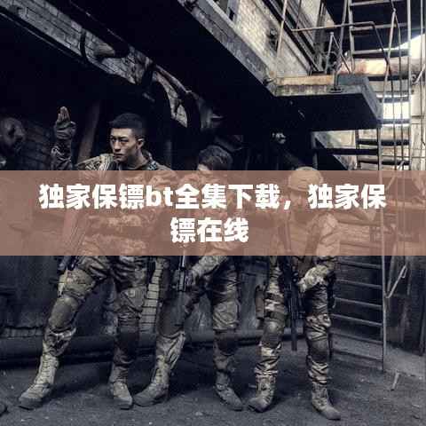 独家保镖bt全集下载,独家保镖在线
