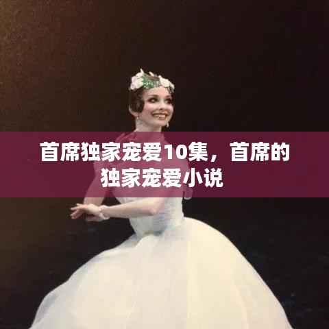 首席独家宠爱10集,首席的独家宠爱小说