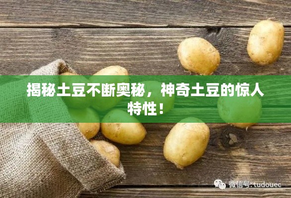 揭秘土豆不断奥秘,神奇土豆的惊人特性!