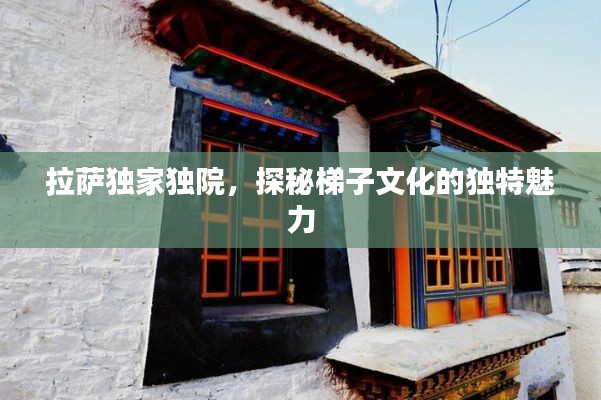 拉萨独家独院,探秘梯子文化的独特魅力