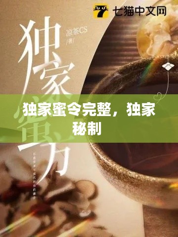 独家蜜令完整,独家秘制