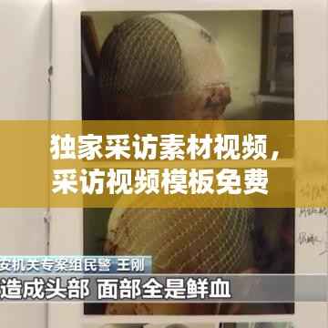 独家采访素材视频,采访视频模板免费