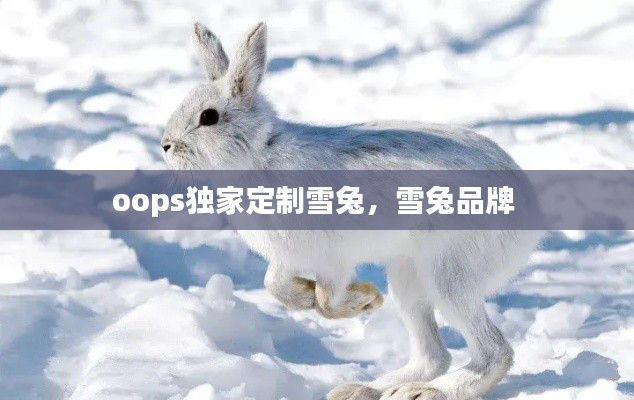 oops独家定制雪兔,雪兔品牌