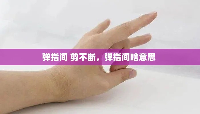 弹指间 剪不断,弹指间啥意思