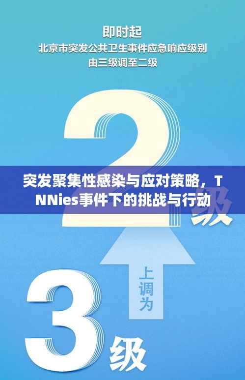 突发聚集性感染与应对策略,TNNies事件下的挑战与行动