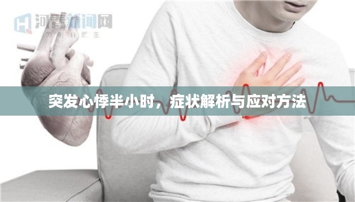 突发心悸半小时,症状解析与应对方法