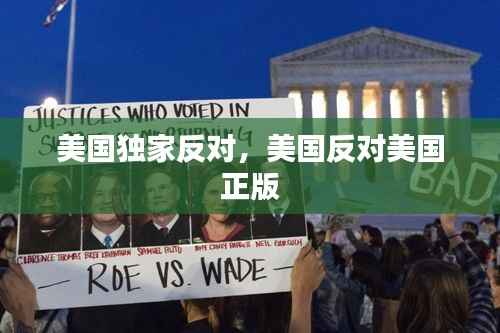 美国独家反对,美国反对美国 正版