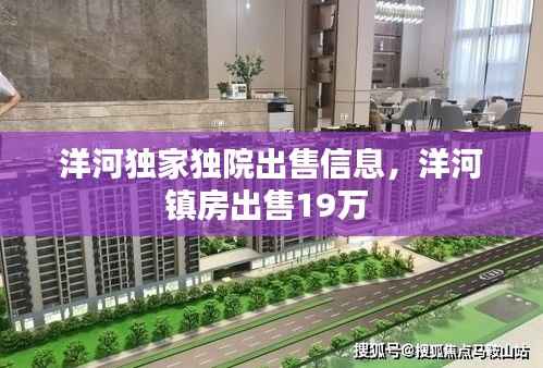 洋河独家独院出售信息,洋河镇房出售19万