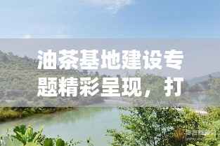 油茶基地建设专题精彩呈现,打造绿色生态基地之旅