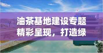 油茶基地建设专题精彩呈现,打造绿色生态基地之旅