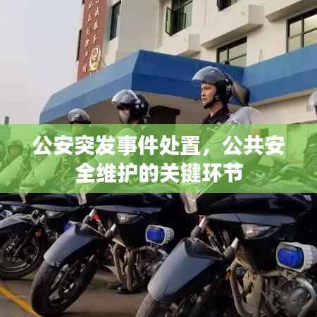 公安突发事件处置,公共安全维护的关键环节