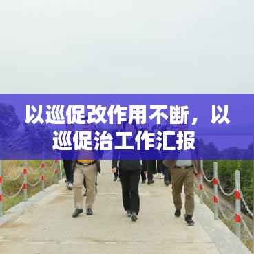 以巡促改作用不断,以巡促治工作汇报