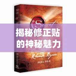 揭秘修正贴的神秘魅力,不断扯的秘密与实用特点解析