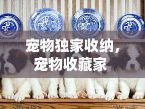 宠物独家收纳,宠物收藏家