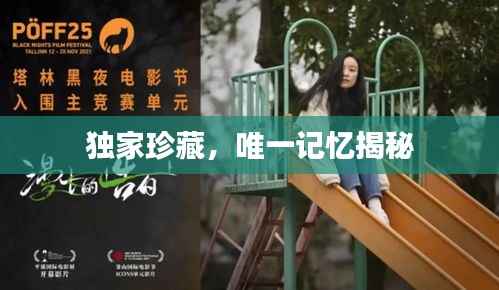 独家珍藏,唯一记忆揭秘