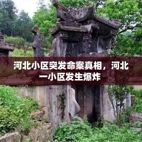 河北小区突发命案真相,河北一小区发生爆炸