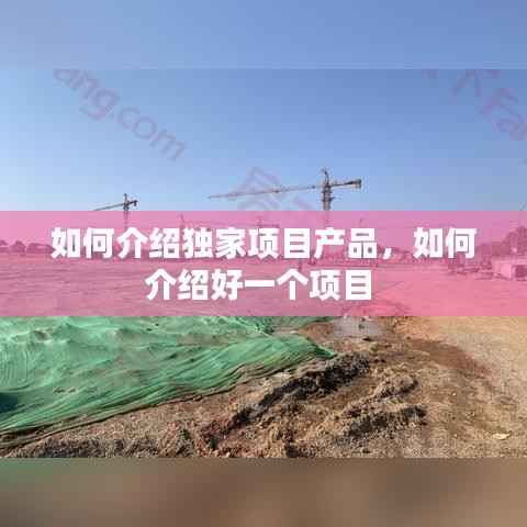 如何介绍独家项目产品，如何介绍好一个项目 