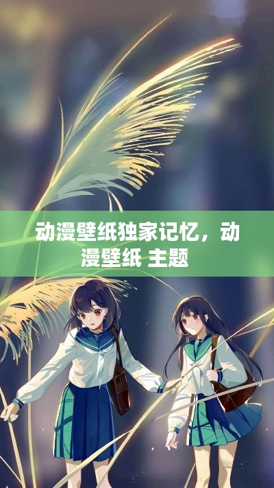 动漫壁纸独家记忆,动漫壁纸 主题