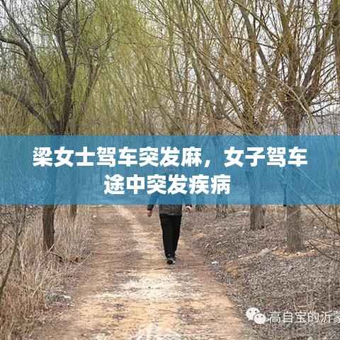 梁女士驾车突发麻,女子驾车途中突发疾病