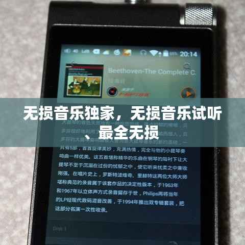 无损音乐独家,无损音乐试听、最全无损
