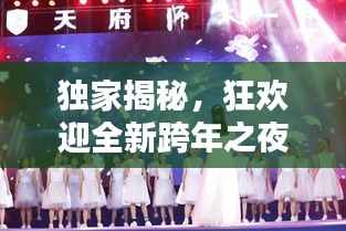 独家揭秘,狂欢迎全新跨年之夜,开启美好新篇章