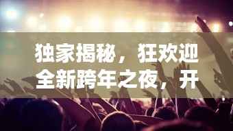 独家揭秘,狂欢迎全新跨年之夜,开启美好新篇章