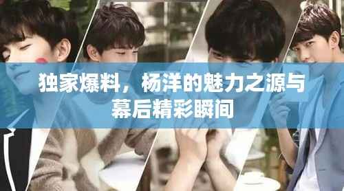 独家爆料,杨洋的魅力之源与幕后精彩瞬间