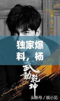 独家爆料,杨洋的魅力之源与幕后精彩瞬间