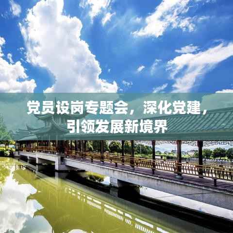 党员设岗专题会,深化党建,引领发展新境界